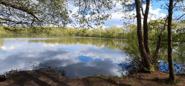 Bobergersee lac piscine Hambourg