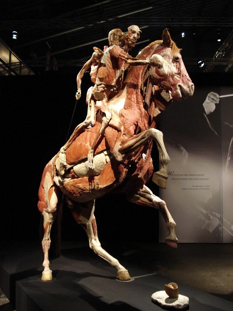 body worlds espagne