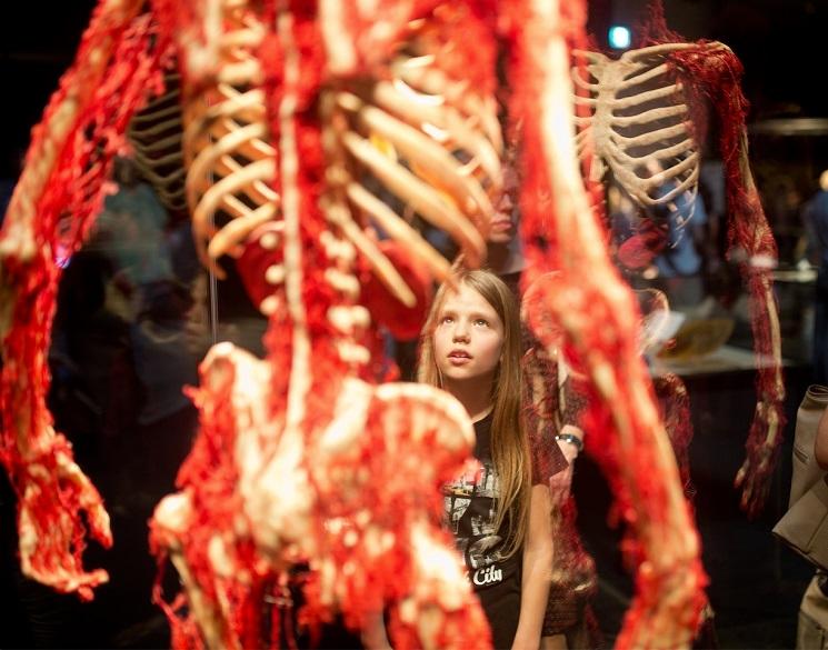 body worlds espagne