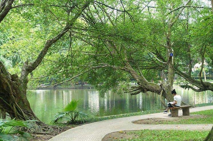 Le jardin botanique de Hanoi 