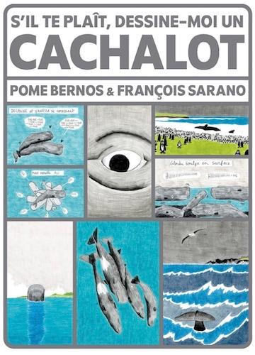 dessin cachalot