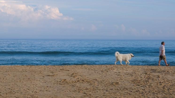 Les Hamptons États-Unis 