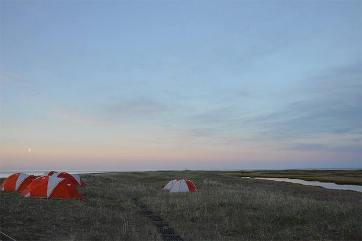 Camp de l'équipe scientifique sur les dunes, lors de la campagne de fouilles de 2016 au Cap Espenberg