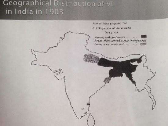 La distribution géographique du Kala Azar en 1903