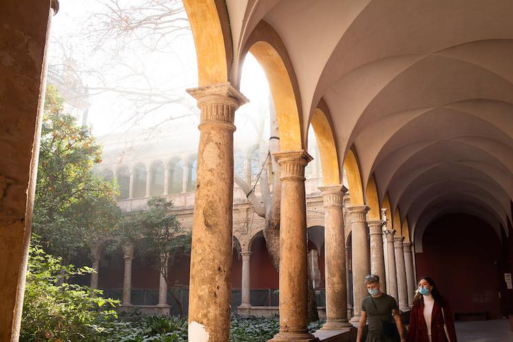 Des colonnes anciennes et un arbre