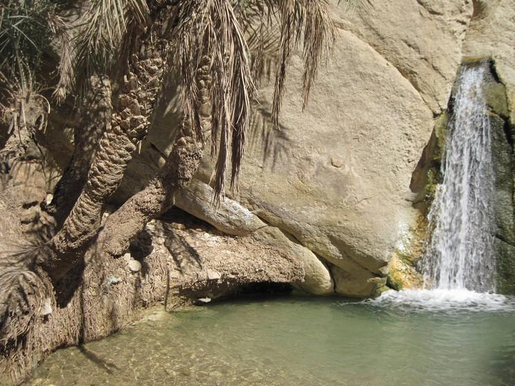 chebika cascade tunisie