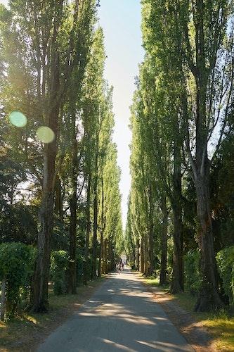 Cimetière d'Assistens à Copenhague