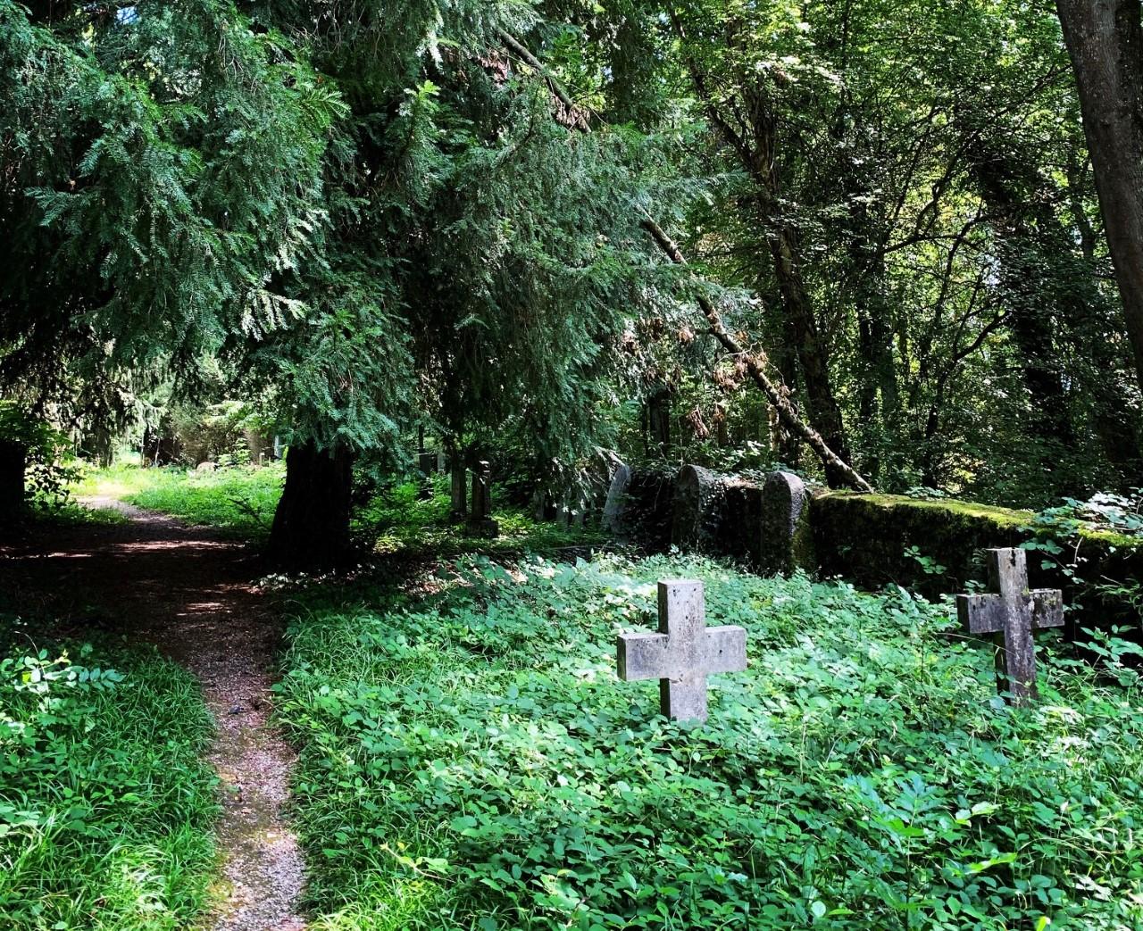 cimetiere genealogie yves delhaye