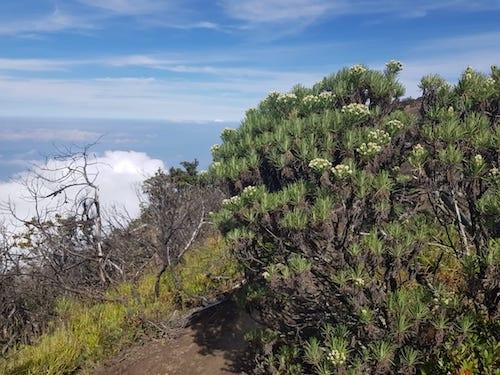 ascension volcan ciremai Indonesie