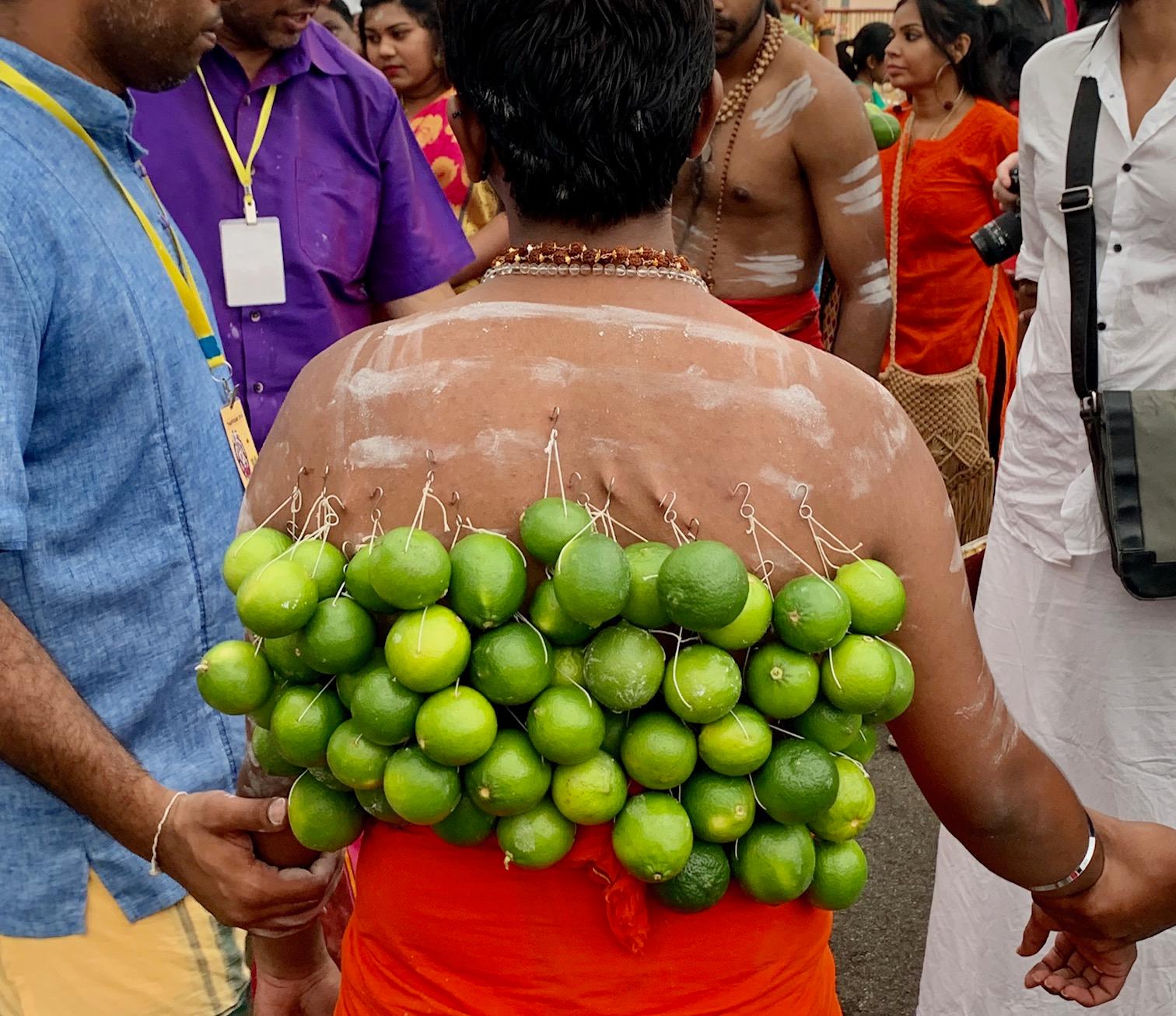 Thaipusam fete indoue singapour citrons