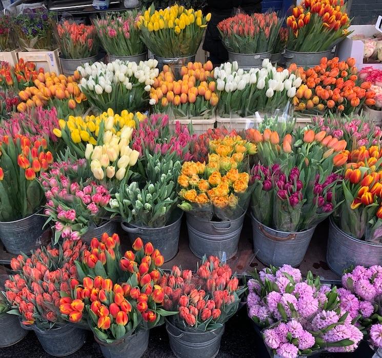 Columbia Road Flower Market