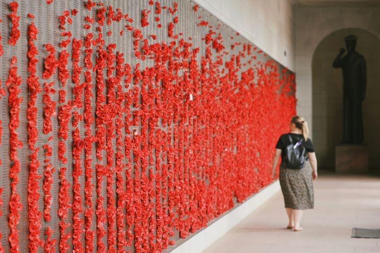 mur de coquelicots pour la commémoration de l'anzac day, à canberra