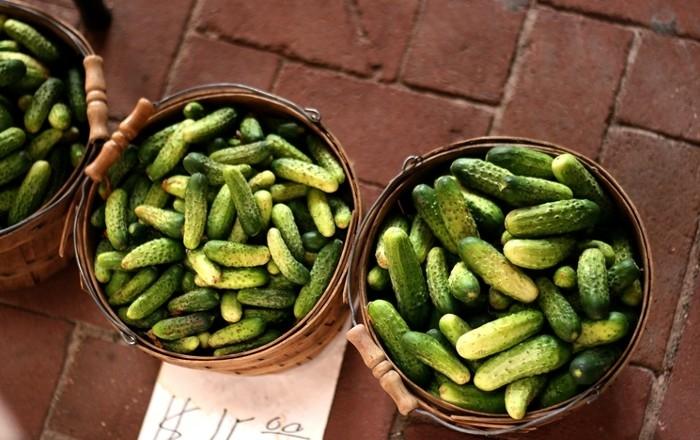 Paniers remplis de cornichons frais