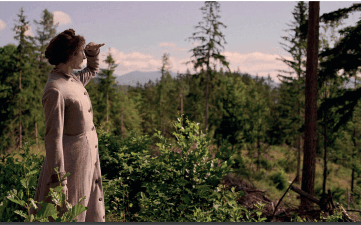 Sissi regarde la forêt