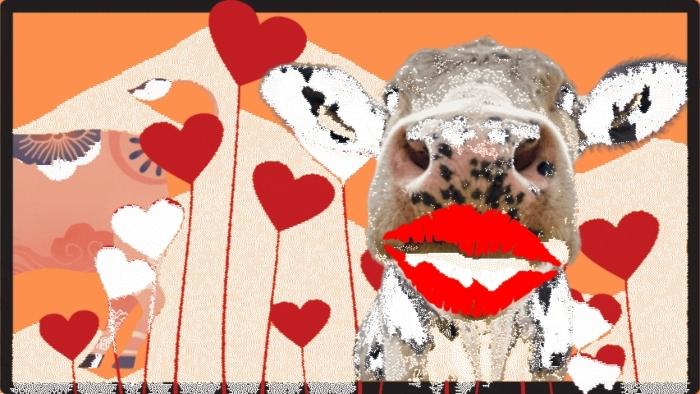 Gif pour le cow hug day du gouvernement indien