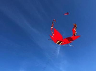 un cerf volant dans le ciel de bali