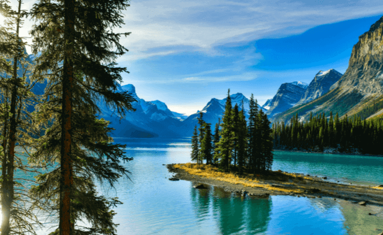 rivière au mileu des sapins au canada