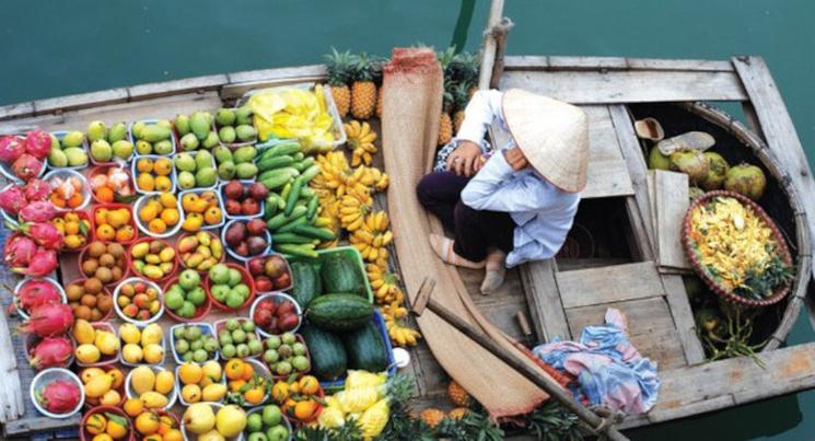 Le Delta du Mékong est le garde manger du Vietnam