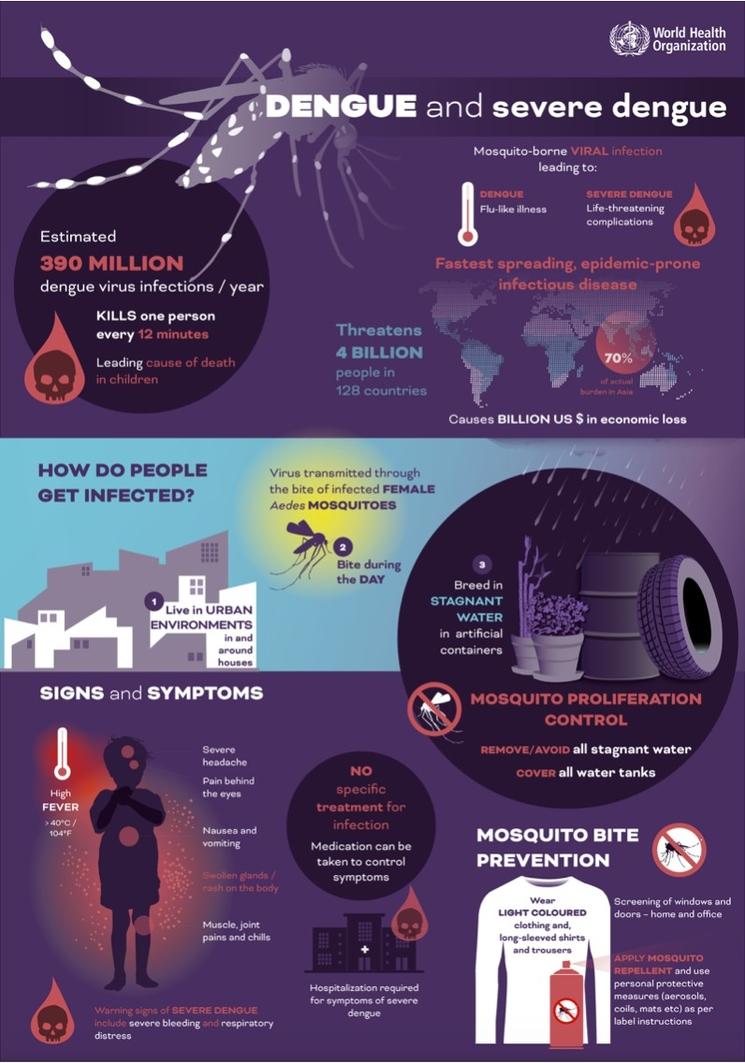 Infographie de l'OMS sur la dengue