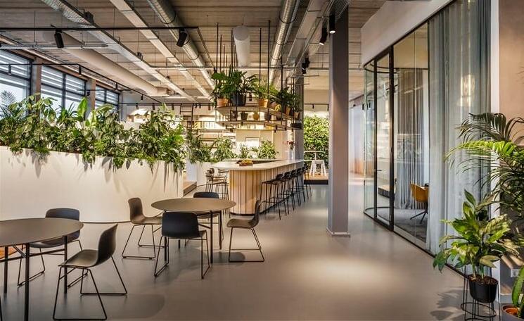 des bureaux aménagés avecdesespaces verts et des plantes