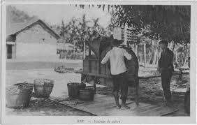 Vannage mécanique du poivre vers 1930