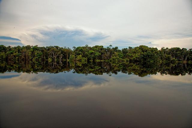 forêt- amazonie-les- eaux-miroirs