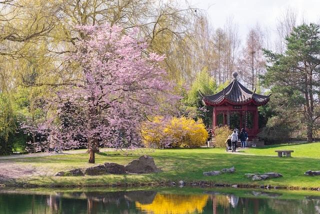 Jardins du Monde © efyhkm - Unsplash