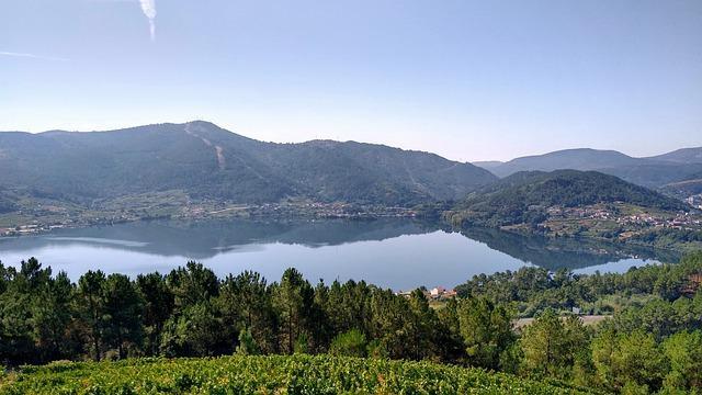 un lac et des arbres en Espagne