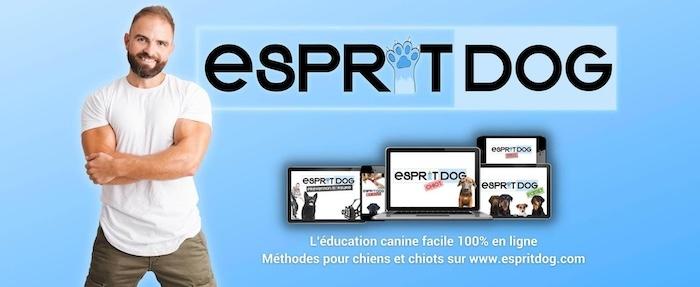 affiche bleue d'esprit dog avec Tony Silvestre