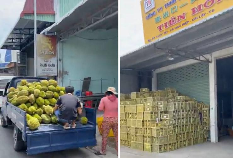 Exportation du durian vers la Chine