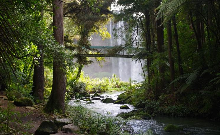 whangarei falls