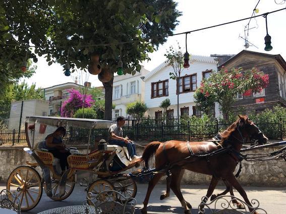 fayote calèches îles aux princes Istanbul