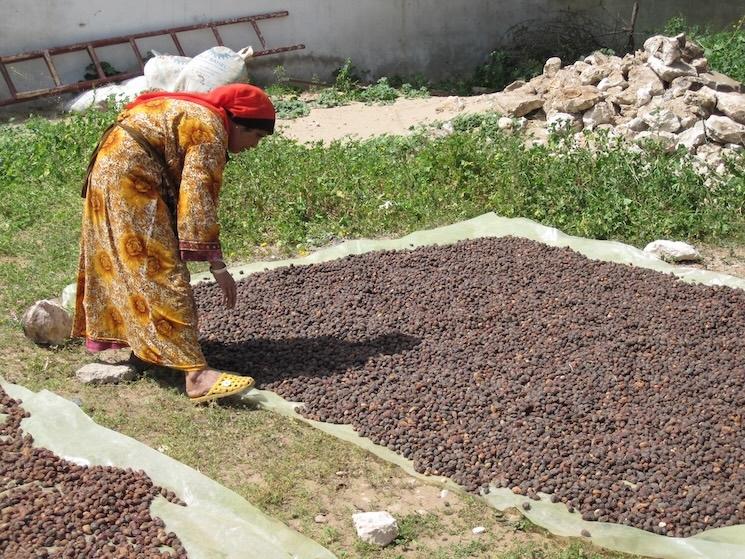 Femme berbère au Maroc