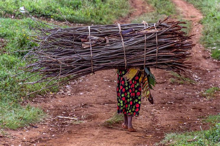 Femme qui porte du bois sur un chemin de terre