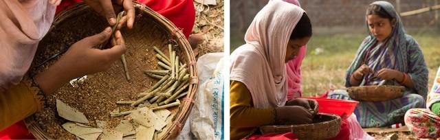 Femmes roulant des beedis