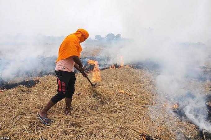 feux inde chaume agriculture 