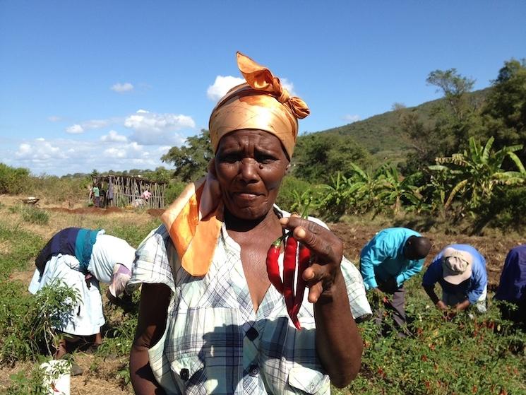 Une agricultrice de Black Mamba