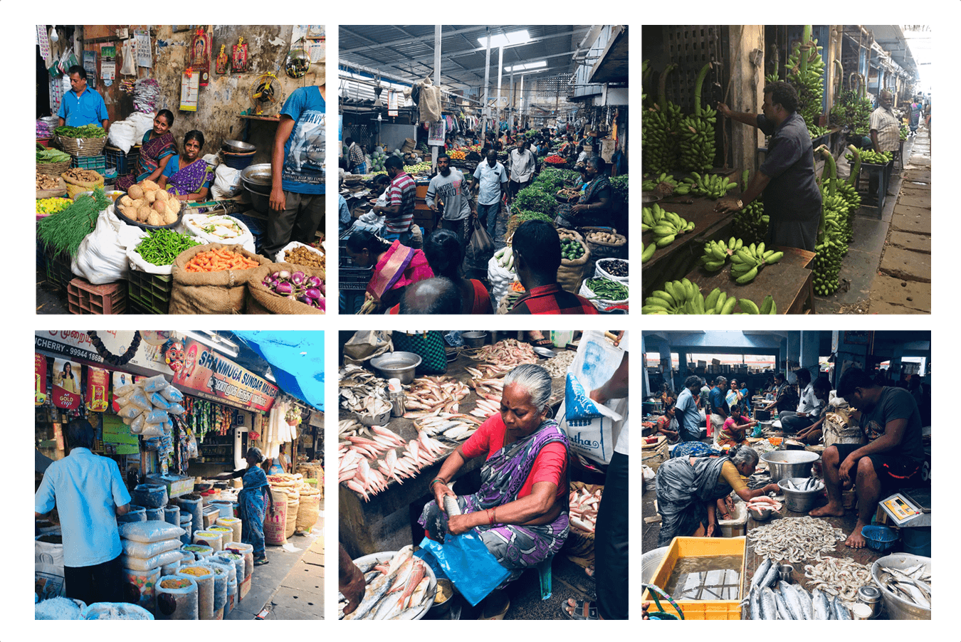 goubert market pondichéry inde