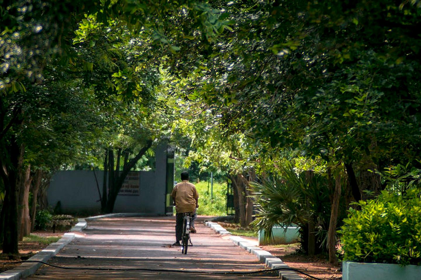 guindy national park  chennai activité enfants