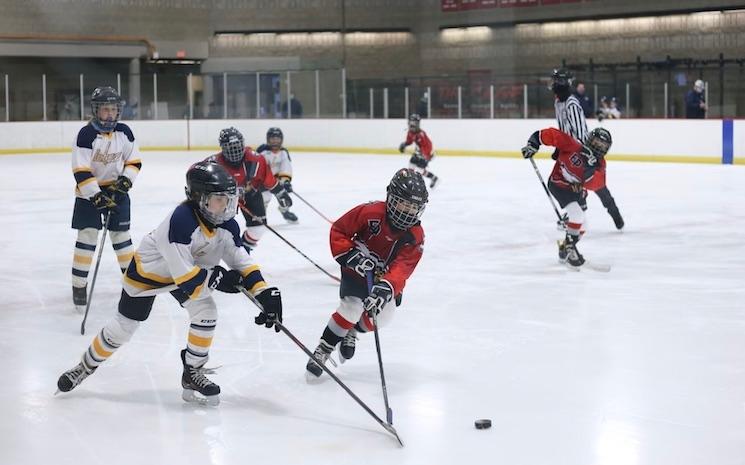 Hockey sur glace