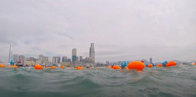 hong kong harbour race