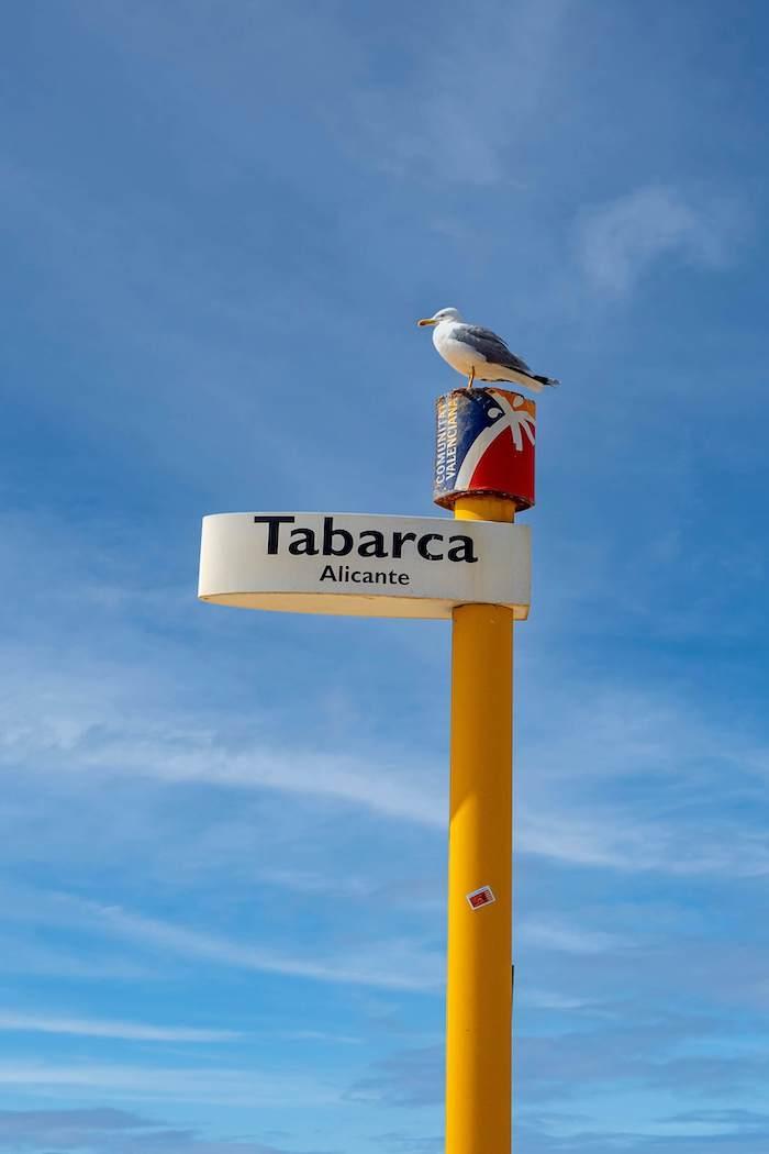 Une mouette sur un panneau où est écrit Tabarca Alicante