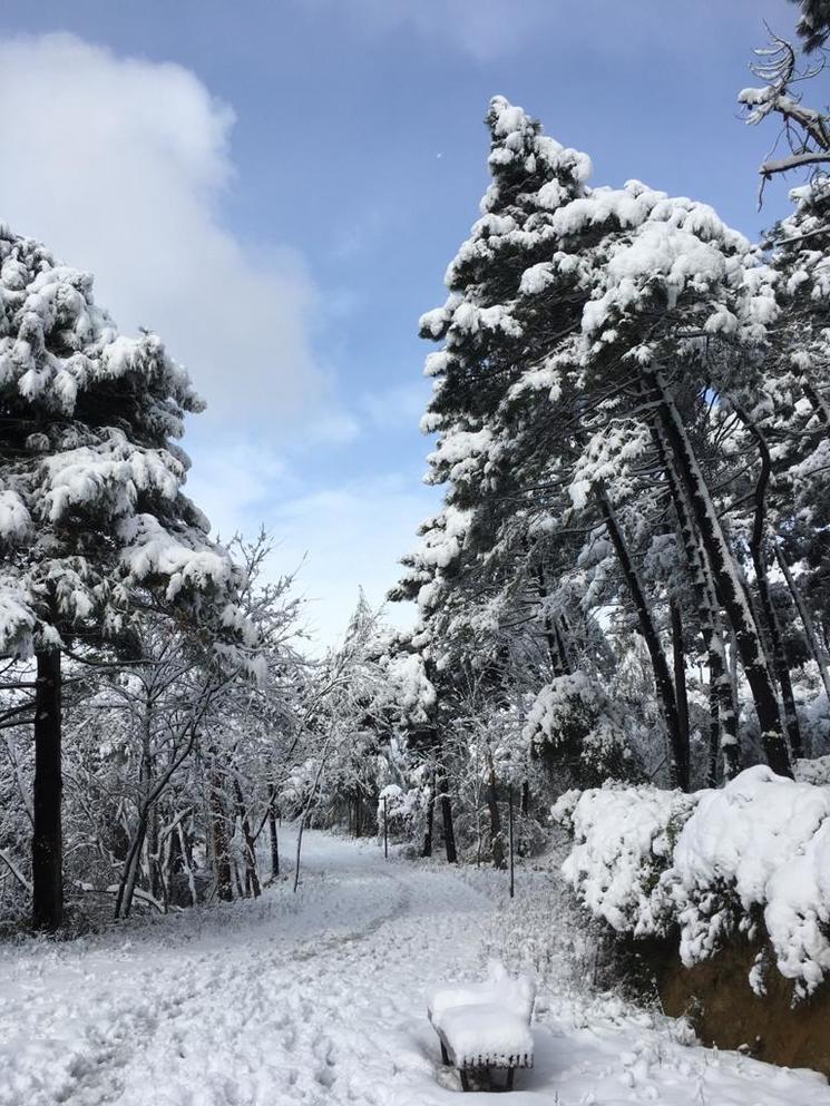 Istanbul sous la neige 2021