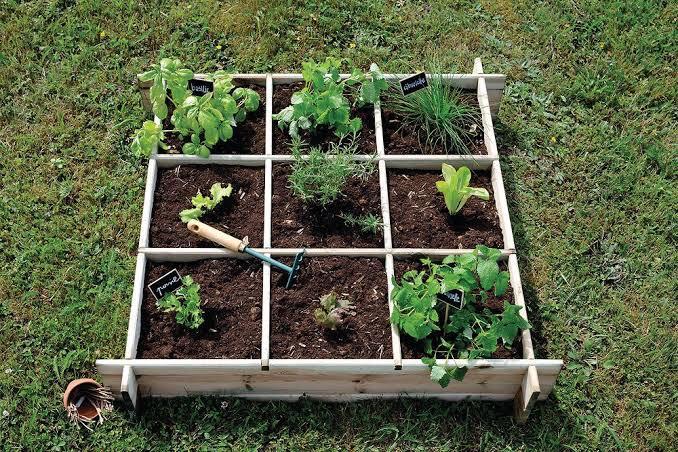 potager maison Istanbul