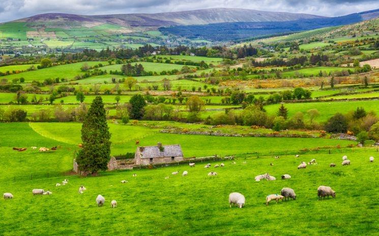 Paysage d'Irlande