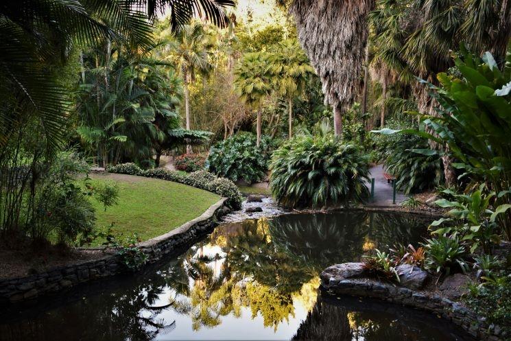 Jardin botanique à Brisbane