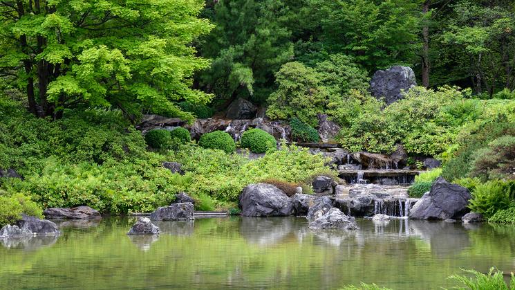 jardin botanique Montréal