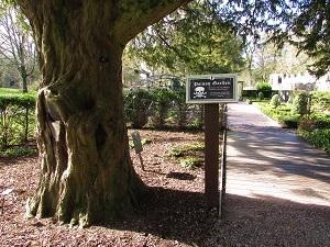 jardin des poisons du Blarney Castle