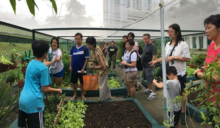 personnes dans un jardin communauraire