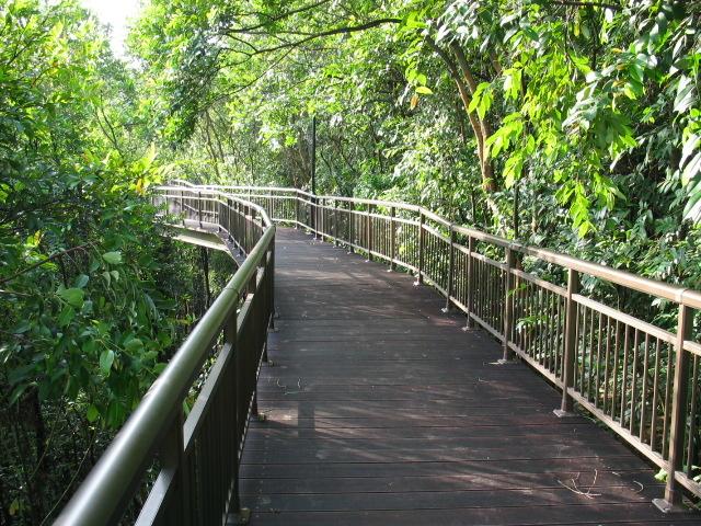 Southern Ridge, Jungle, Singapour